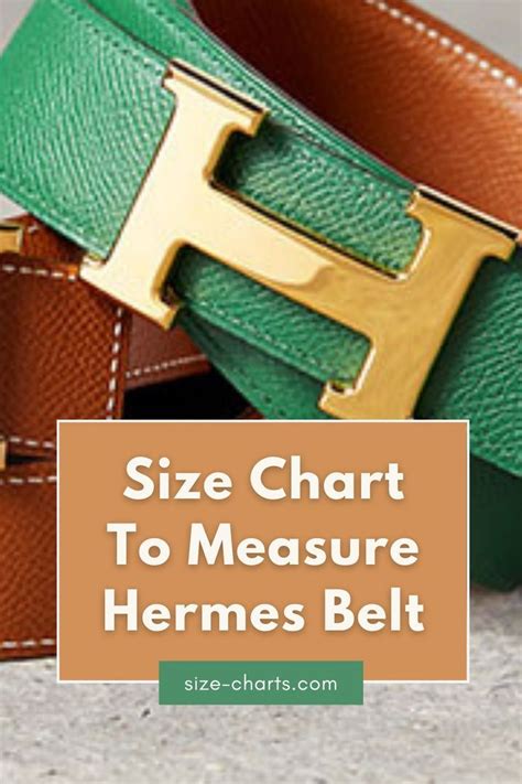 hermes gucci belt|gucci belt size chart.